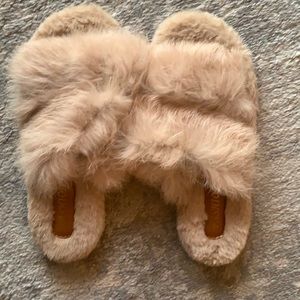 Furry Slides